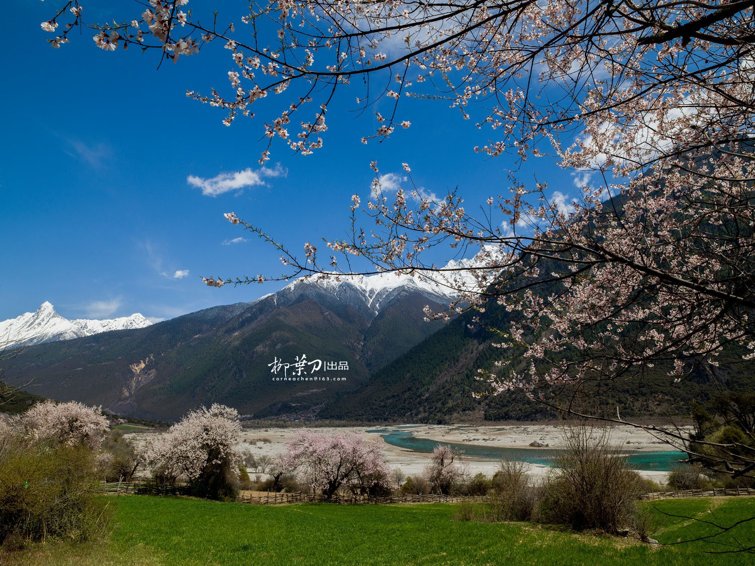 专业单反相机 哈苏H5D 40职业相机控专享会员