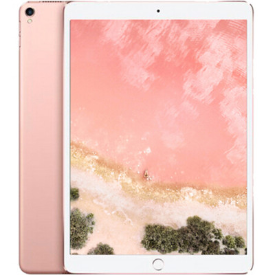 苹果 iPad Pro 平板电脑 10.5 英寸 256G WLAN